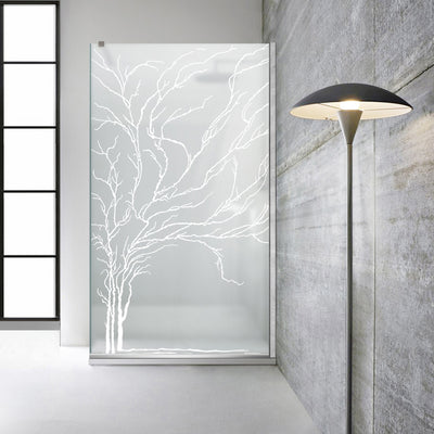 Paravan dus Walk-in, Perete dus  Inox, #Mata #Matt